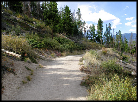 The easy hiking trail to Sapphire Point