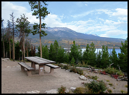 Great place for a picnic