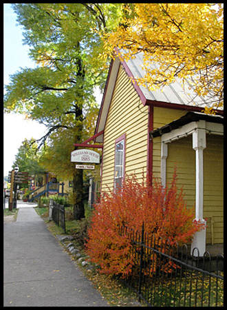 I loved the mix of fall colors even in town