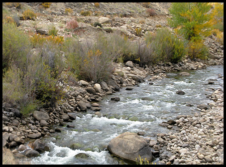 Wish you could hear that gurgling creek