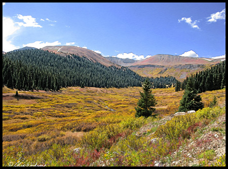 The scenic views in the White River National Forest are not to be missed. 