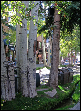 We liked the tiny stream that went through pedestrian mall