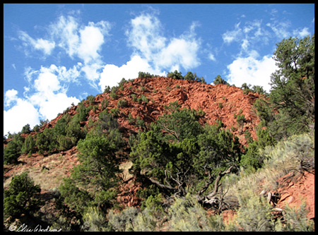 Such Color Variety in the Rocks