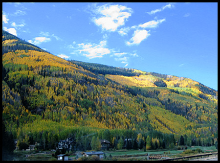 The mix of yellow aspen and green pines is so pretty