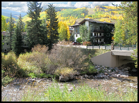 Gore Creek, a riparian/stream ecosystem in the heart of Vail