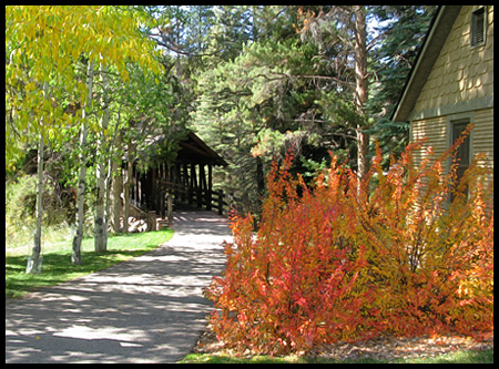 The hike ends at the Betty Ford Alpine Garden and historic Nature Center farmhouse building across the creek.