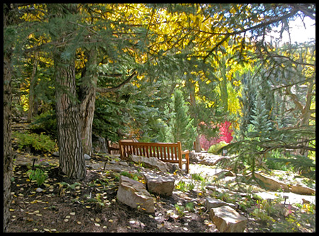 well placed benches were a welcome place to rest a bit after the hike from the shopping area of Vail