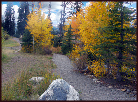 a safer trail