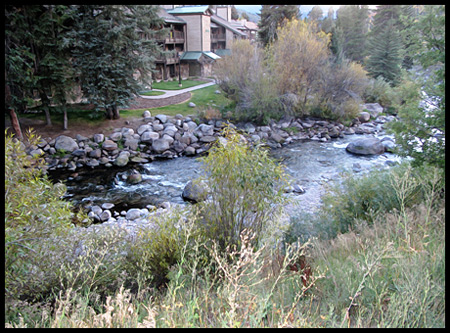 a Creek in Aspen