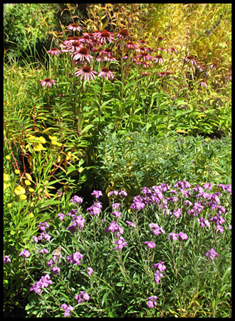 a pretty mix of autumn flowers