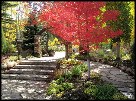 The garden is located at 183 Gore Creek Drive, Vail, Colorado, and is the highest botanic gardens in the United States