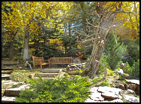 At 8,200 feet the Betty Ford Alpine Gardens are high in the Rocky Mountains. Admission to the garden is free