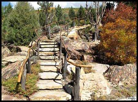 I loved these artful steps and rails