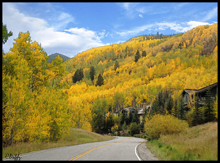 The aspens, thankfully, are for everyone to enjoy