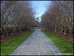 Arboretum