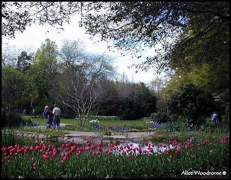 Arboretum