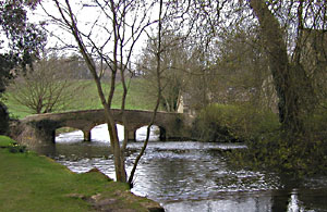 click image to see larger version