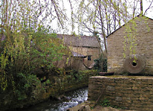 click image to see larger version