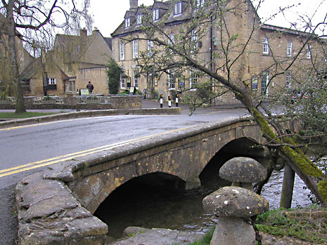 click here to see larger version