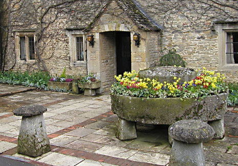 click image to see larger version
