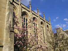click here to go to the Oxford photographs