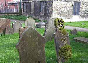 click here to see larger version