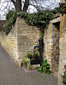 click image to see larger version