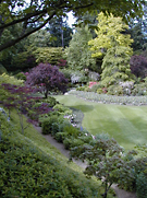 A view of the garden