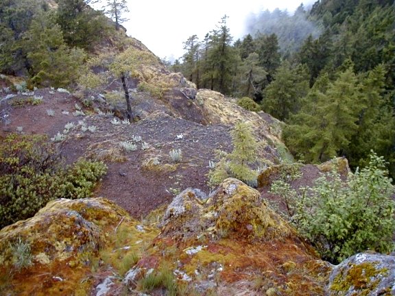 Mount Olympus National Park View