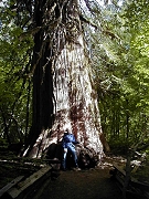 Alice and a giant