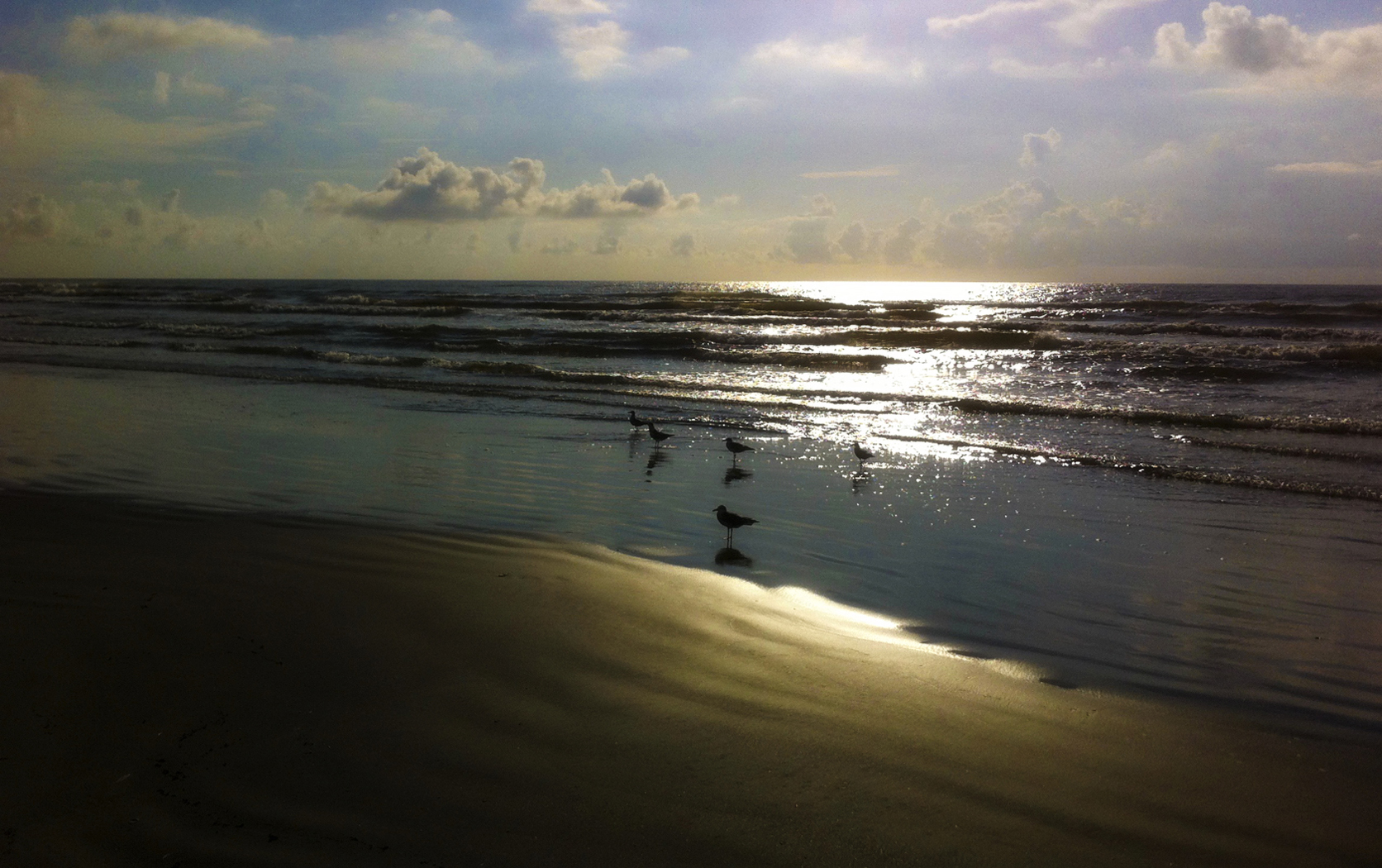 Beach at dawn