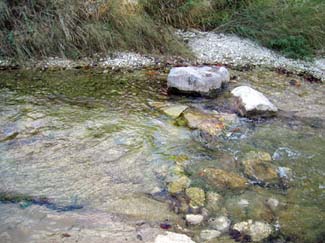 Bull Creek was crystal clear -- click to see larger version