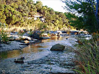 We stayed at Bull Creek for nearly 45 minutes. There were quite a few other people there, but I managed to keep them out of my shots -- click to see larger version