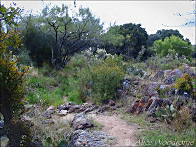 The hill country is beautiful - Click for larger view