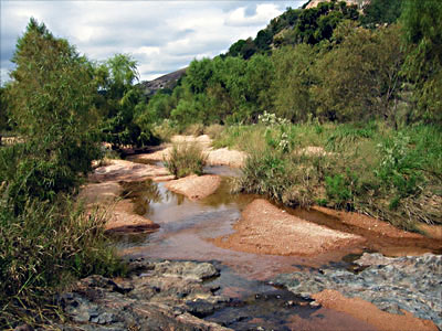 Sandy Creek  - Click for larger view