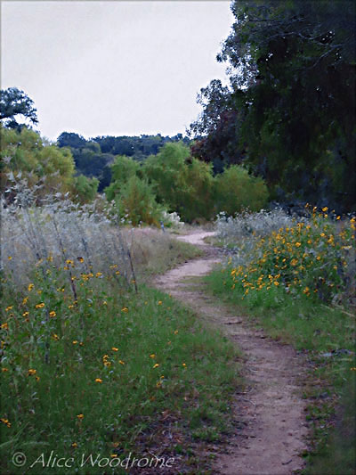 The Loop Trail around the Enchanted Rock  - Click for larger view