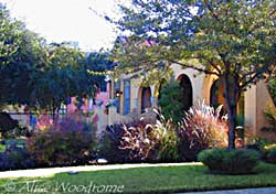 The ornamental grasses adorning this house in the King William District looks nice, doesn't it? - click to view picture large