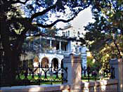 A Grand house in the King William District - Click for larger view