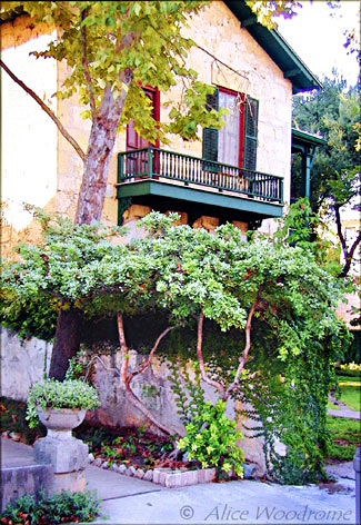 Can't you see this house in a Mediterranean country? - click to view picture large