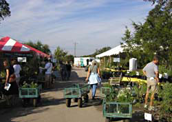 That's me (Alice) with the wagon headed to buy something at the plant sale- Click to see larger view