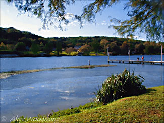 Lake Austin at Emma Long Park -- click to see larger version