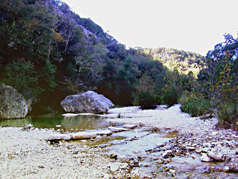 When we got there much of the canyon lay in the evening shadows. The thing that struck me the most about Lost Maples State Natural Area was the pure white limestone and crystal clear streams.  - Click for larger view