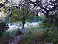 Another view of the Sabinal River at Lost Maples -- click to view picture large