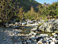 The rocks were so white at Lost Maples -- click to view picture large