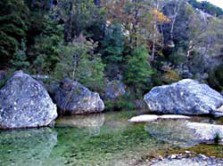 Such large boulders at Lost Maples - Click for larger view