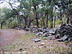 I don't know if the rocks forming this wall were moved there to accommodate the path, but it made an interesting picture - click to view picture large