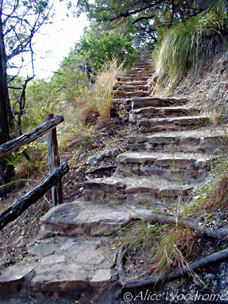 Stone steps on the Onion Creek Trail -- click to view picture large