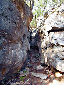 Boulders at McKinney Falls State Park -- click to see larger size
