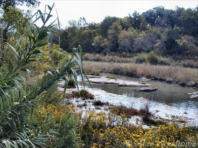 Below Wayne Smith Dam -- click to view picture large