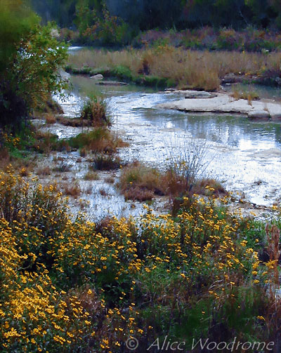 We had to turn around and come back to this site below Wayne Smith Dam -- click to view picture large